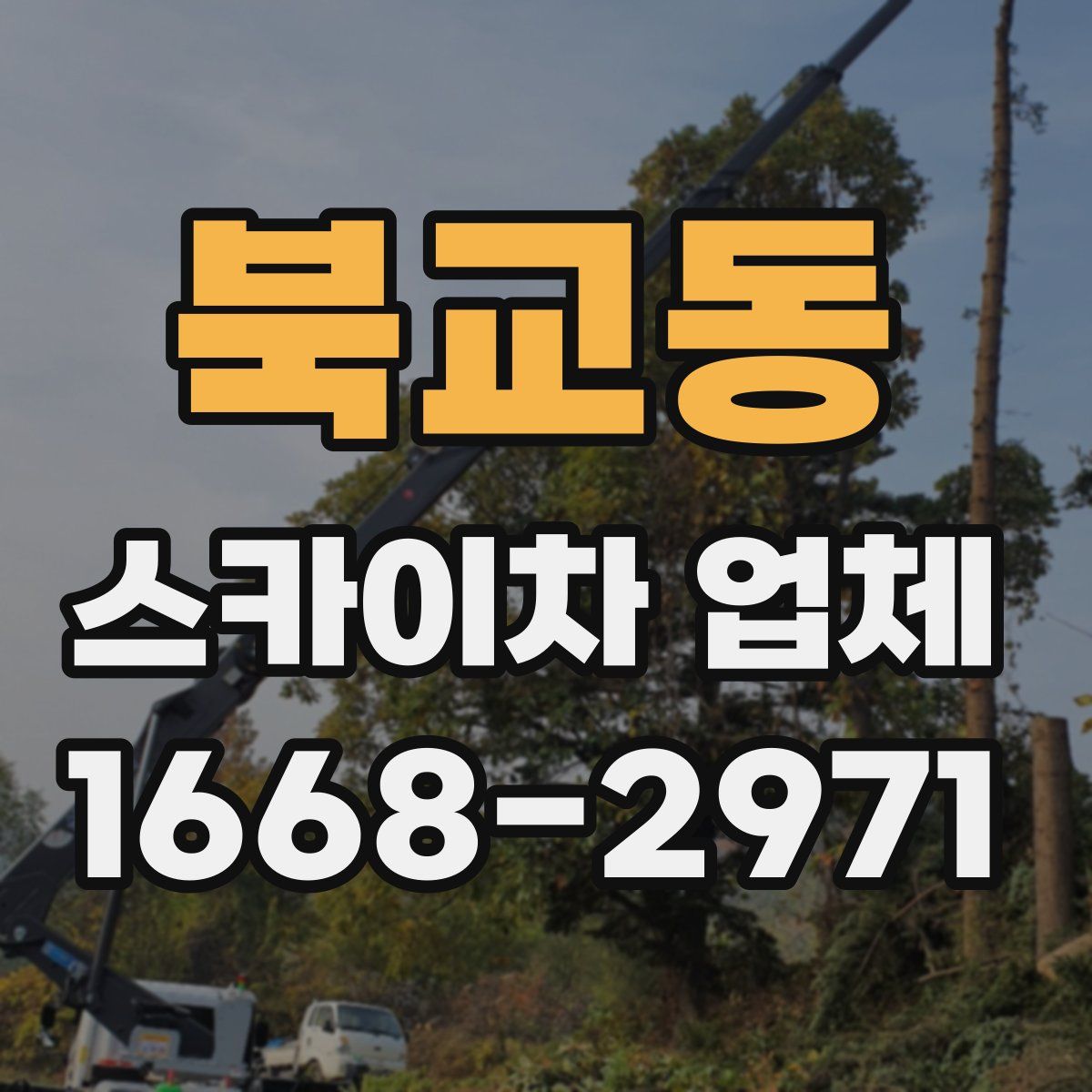 북교동 스카이차 업체