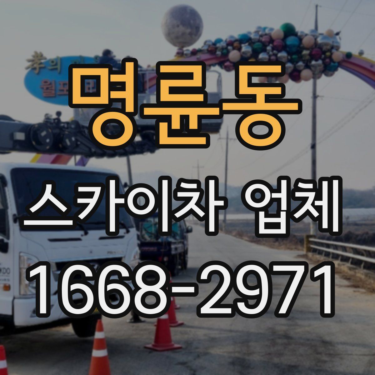 명륜동 스카이차 업체