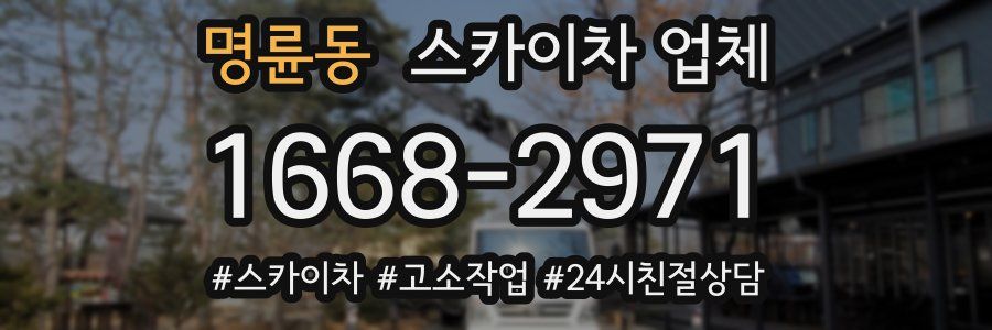 명륜동 스카이차 업체