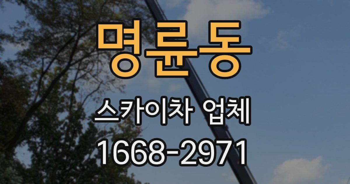 명륜동 스카이차 업체
