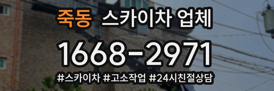 죽동 스카이차 업체