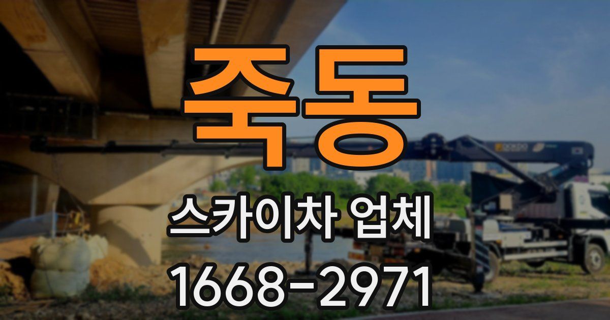 죽동 스카이차 업체