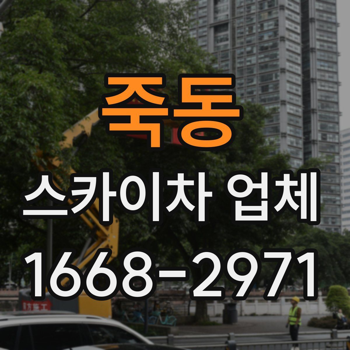 죽동 스카이차 업체