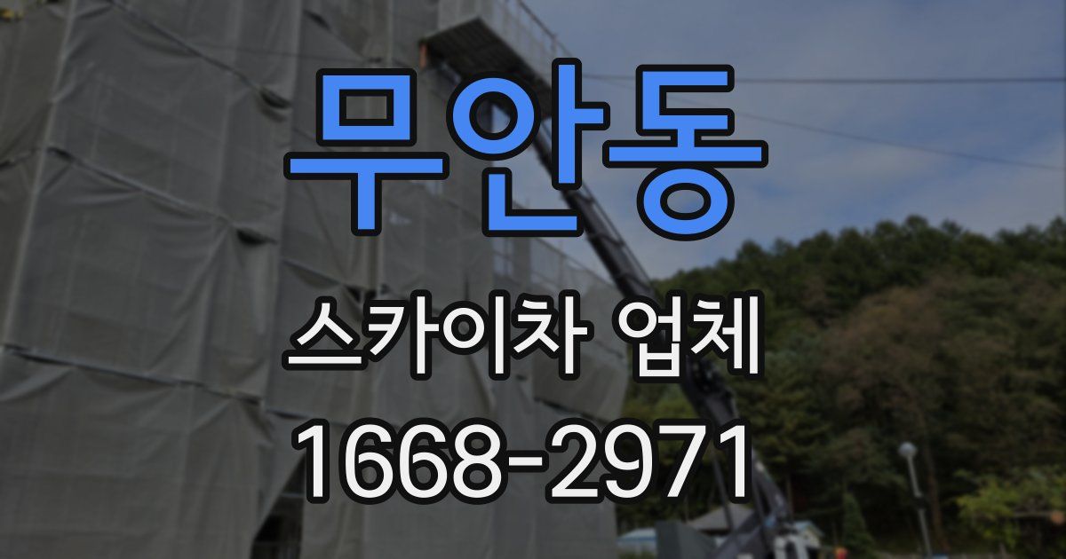 무안동 스카이차 업체