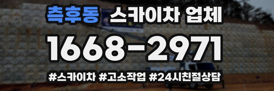 측후동 스카이차 업체