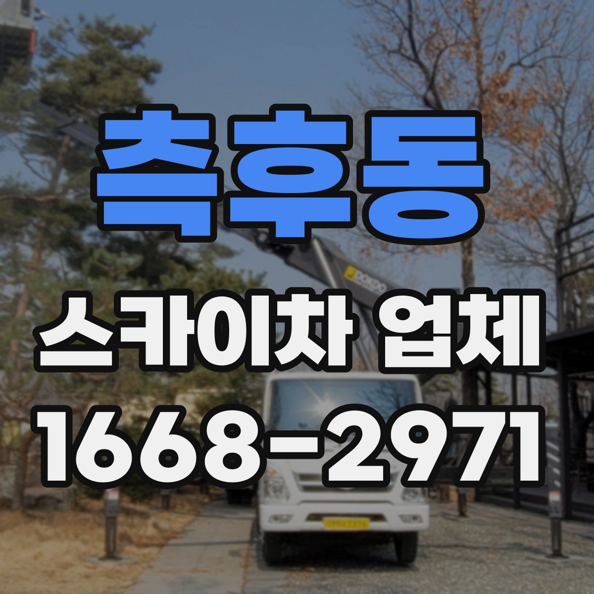 측후동 스카이차 업체