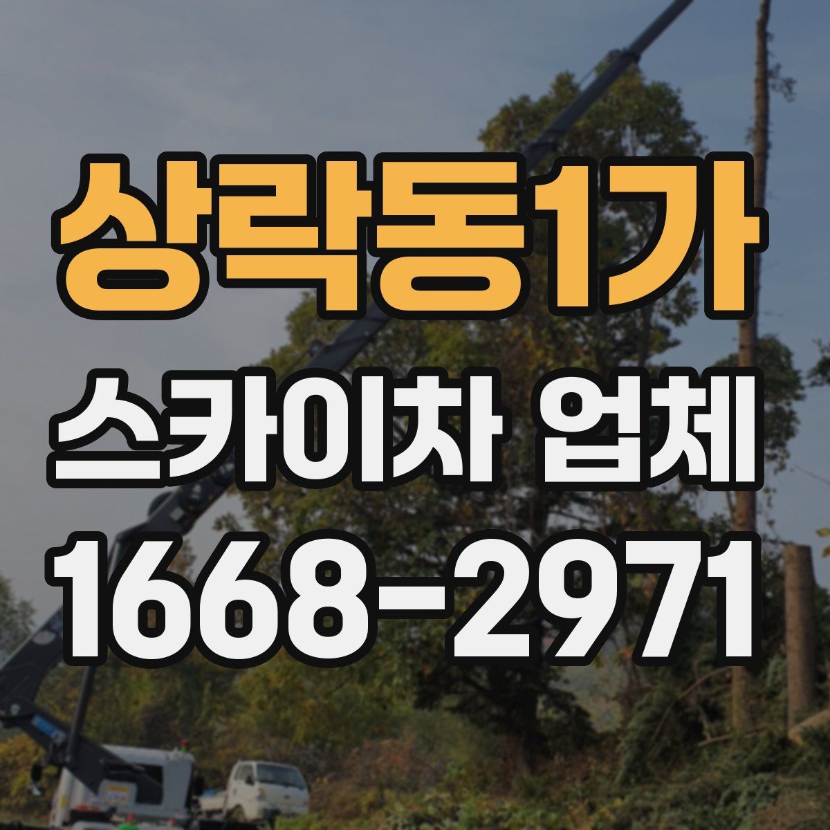 상락동1가 스카이차 업체