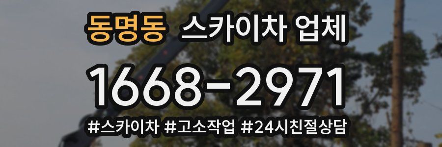 동명동 스카이차 업체