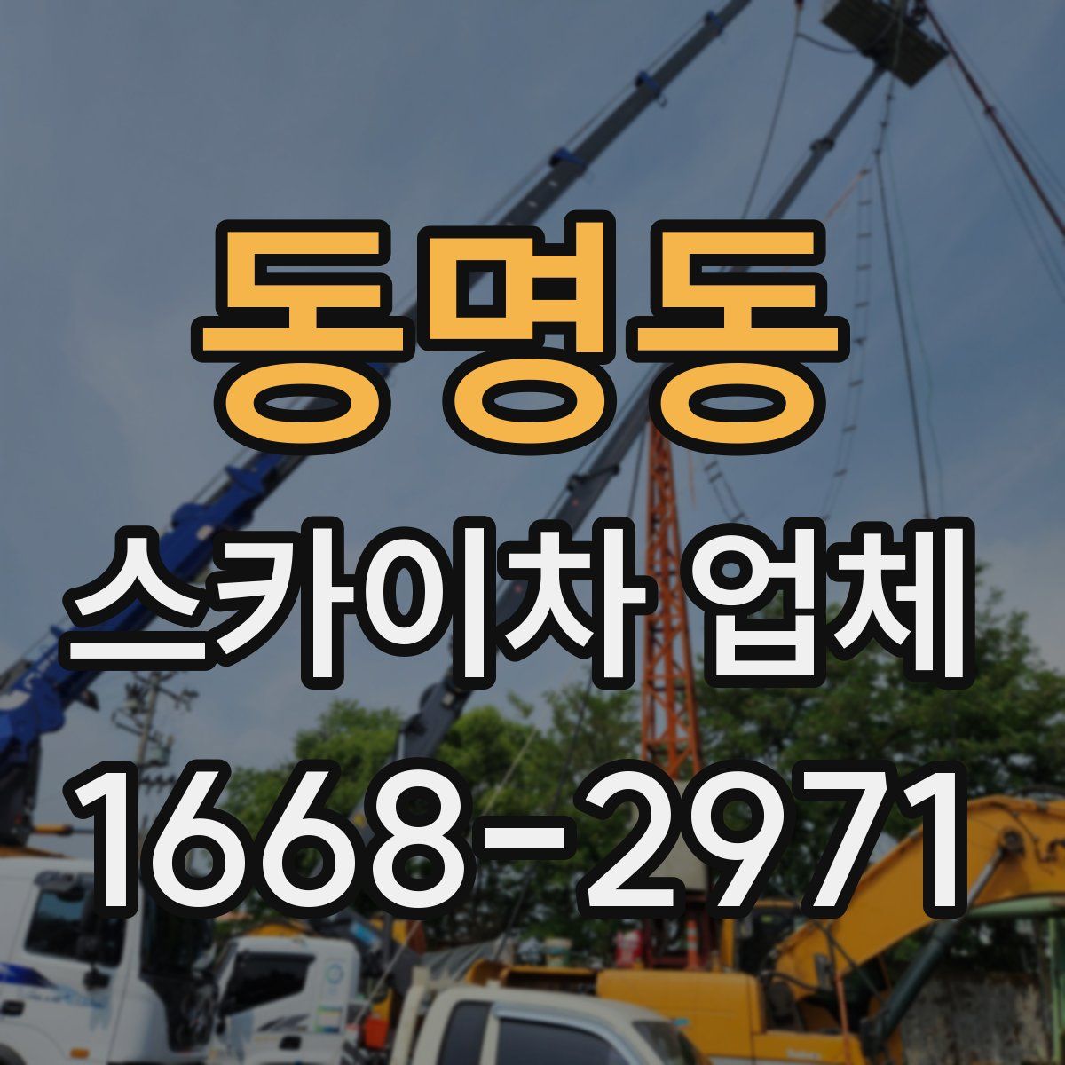 동명동 스카이차 업체