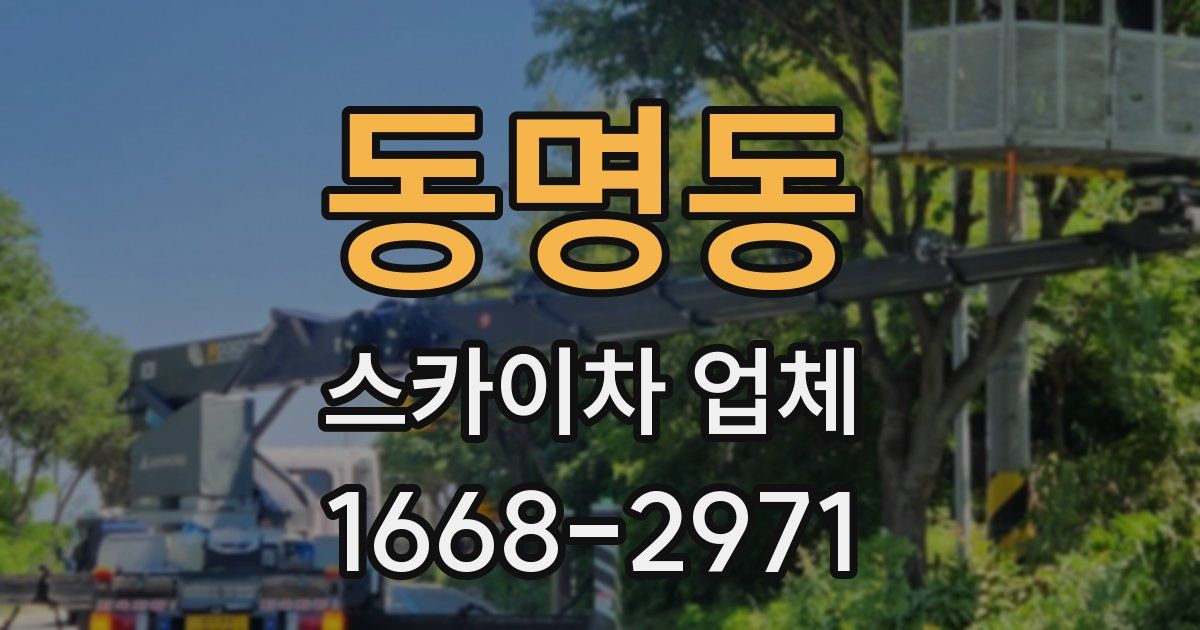 동명동 스카이차 업체
