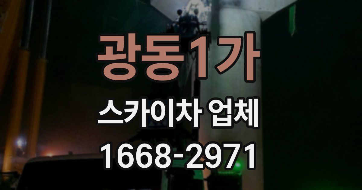 광동1가 스카이차 업체