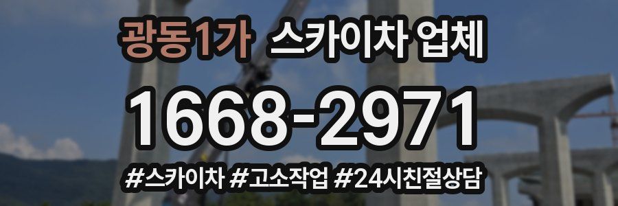 광동1가 스카이차 업체