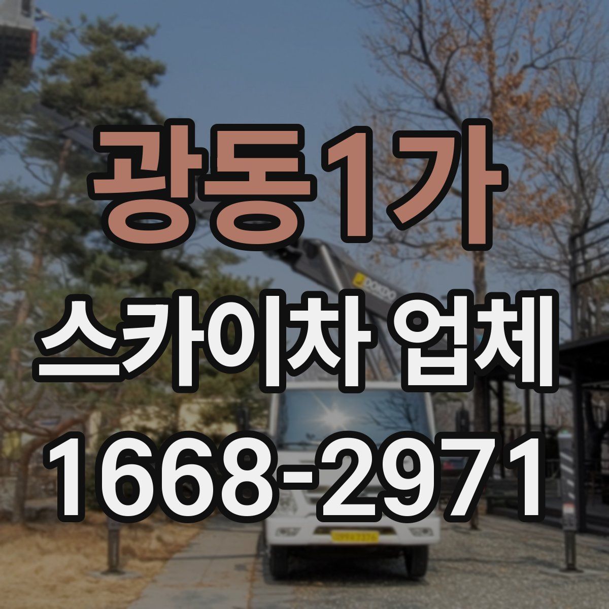 광동1가 스카이차 업체