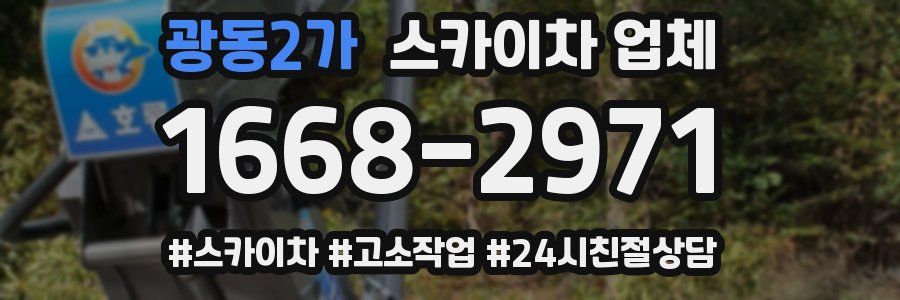 광동2가 스카이차 업체
