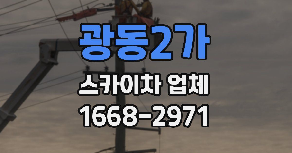 광동2가 스카이차 업체