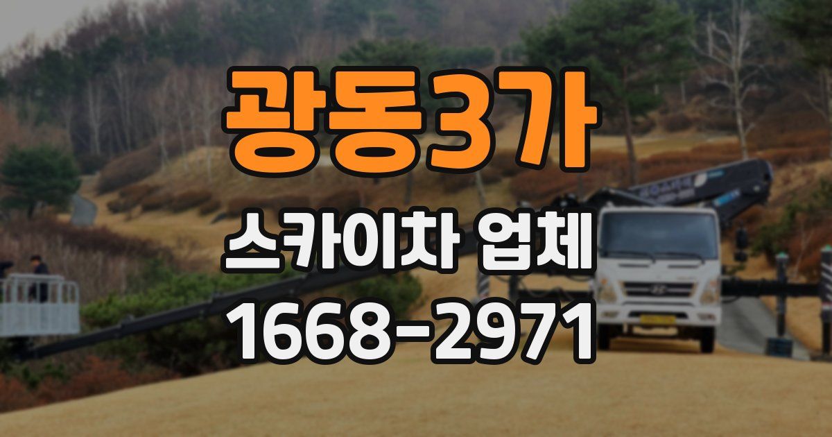 광동3가 스카이차 업체