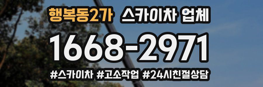 행복동2가 스카이차 업체