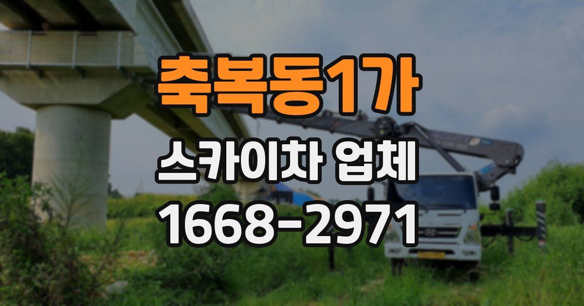 축복동1가 스카이차 업체