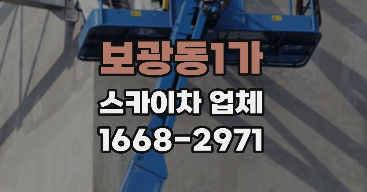 보광동1가 스카이차 업체