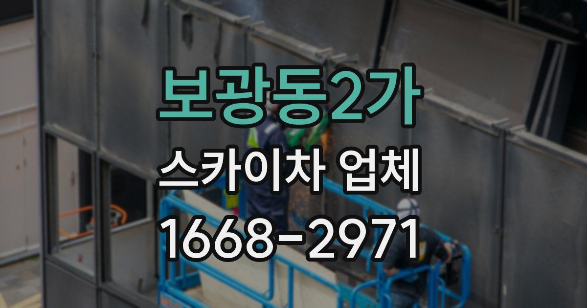 보광동2가 스카이차 업체
