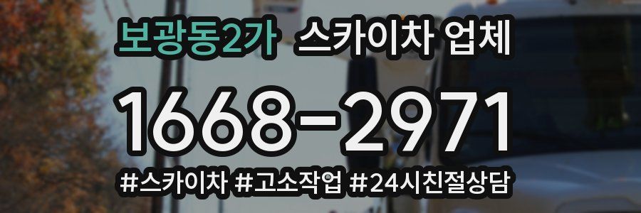 보광동2가 스카이차 업체