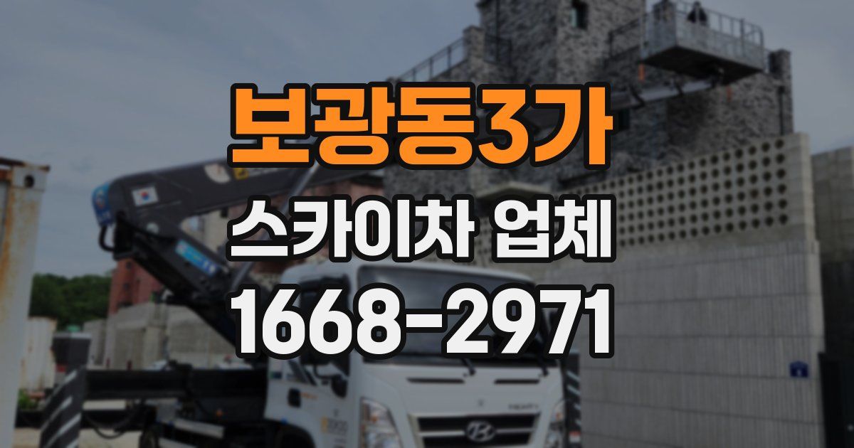 보광동3가 스카이차 업체