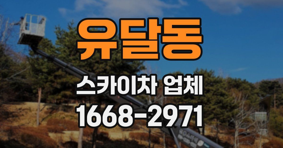 유달동 스카이차 업체