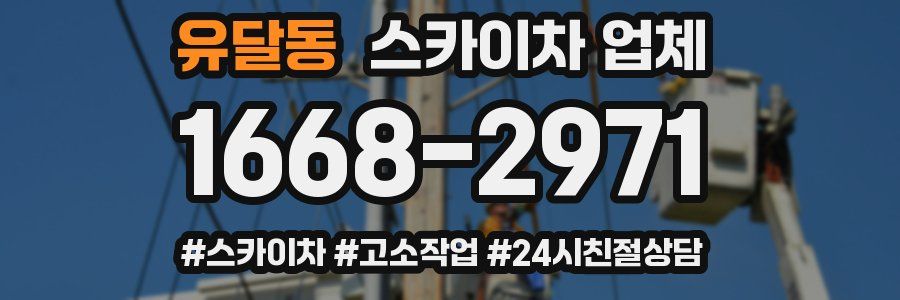 유달동 스카이차 업체