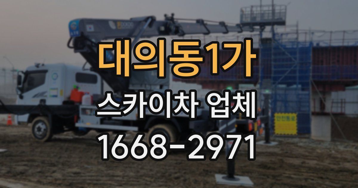 대의동1가 스카이차 업체