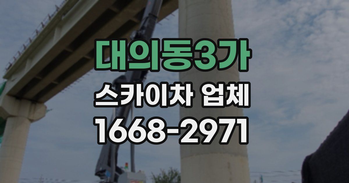 대의동3가 스카이차 업체