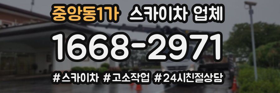 중앙동1가 스카이차 업체