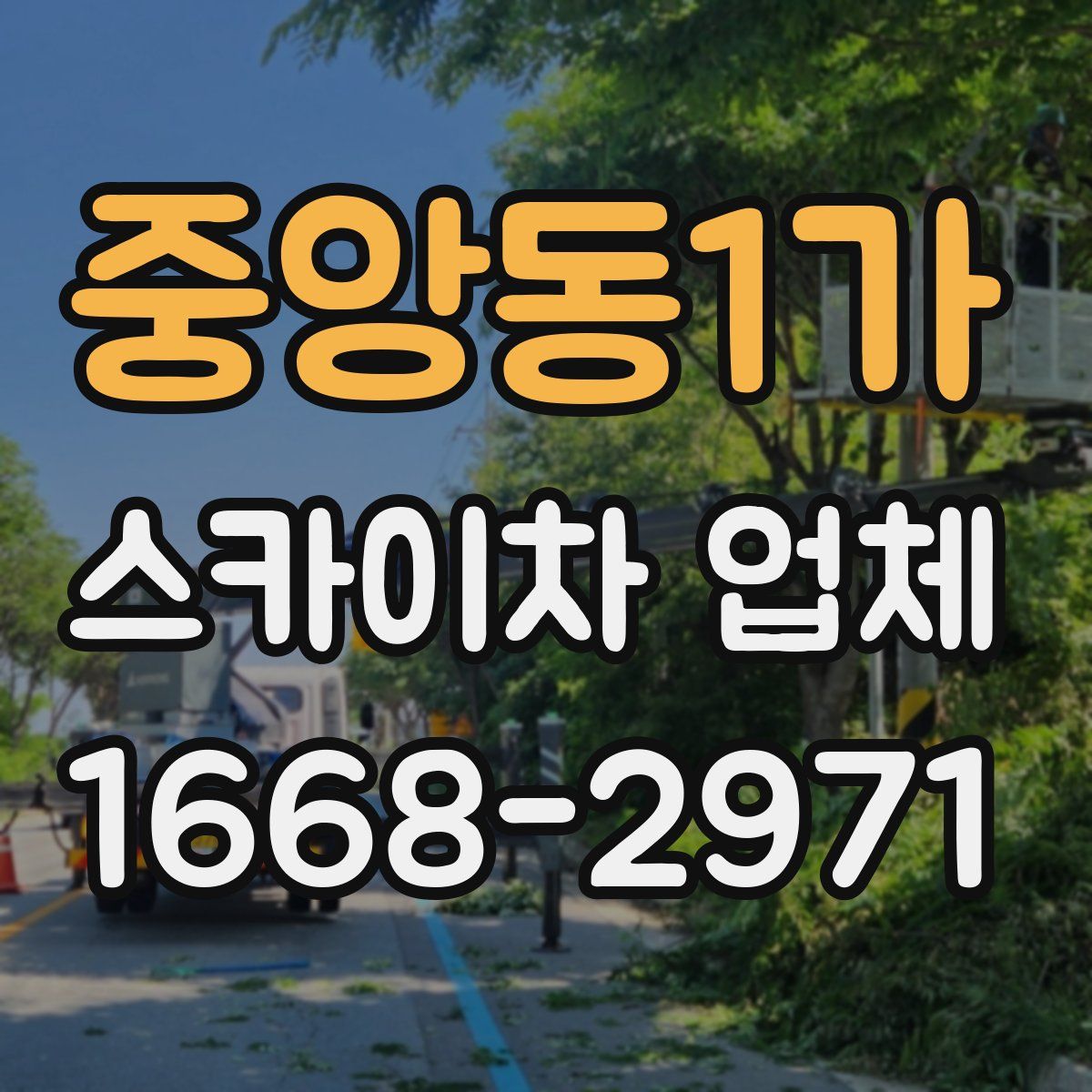중앙동1가 스카이차 업체