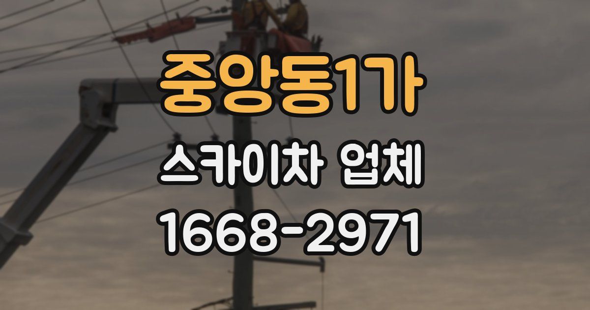 중앙동1가 스카이차 업체