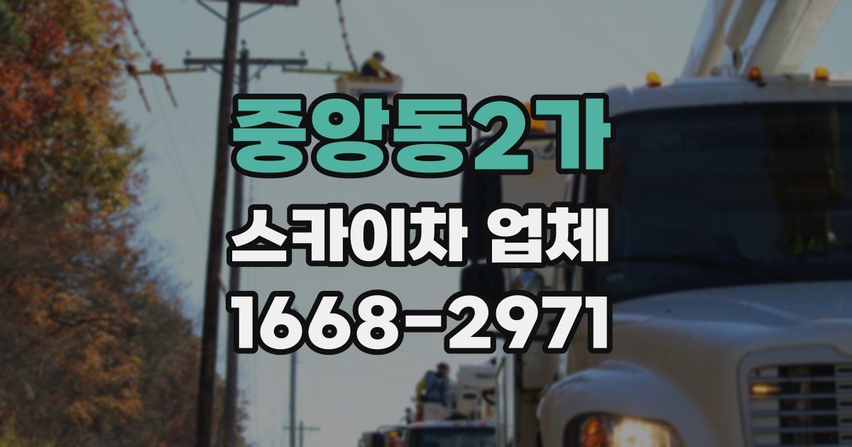 중앙동2가 스카이차 업체