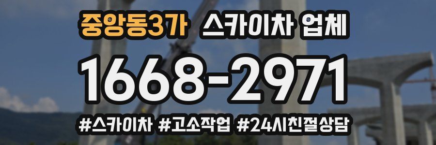 중앙동3가 스카이차 업체