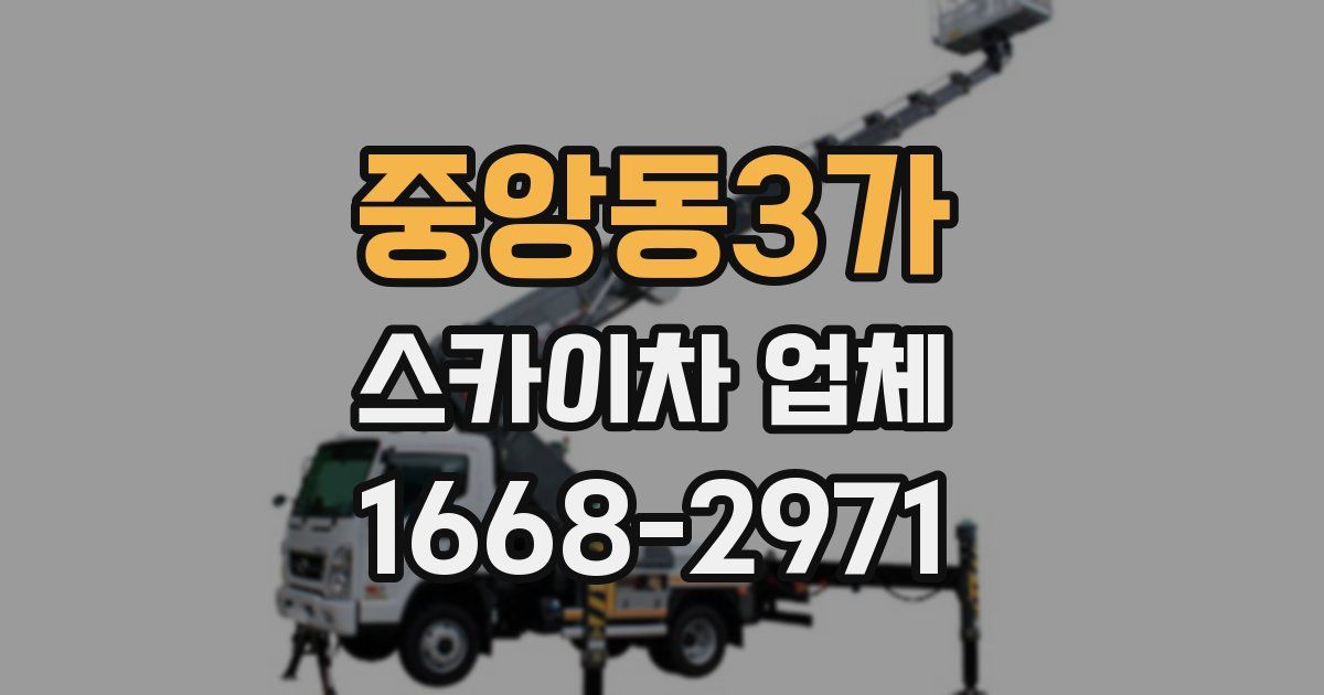 중앙동3가 스카이차 업체