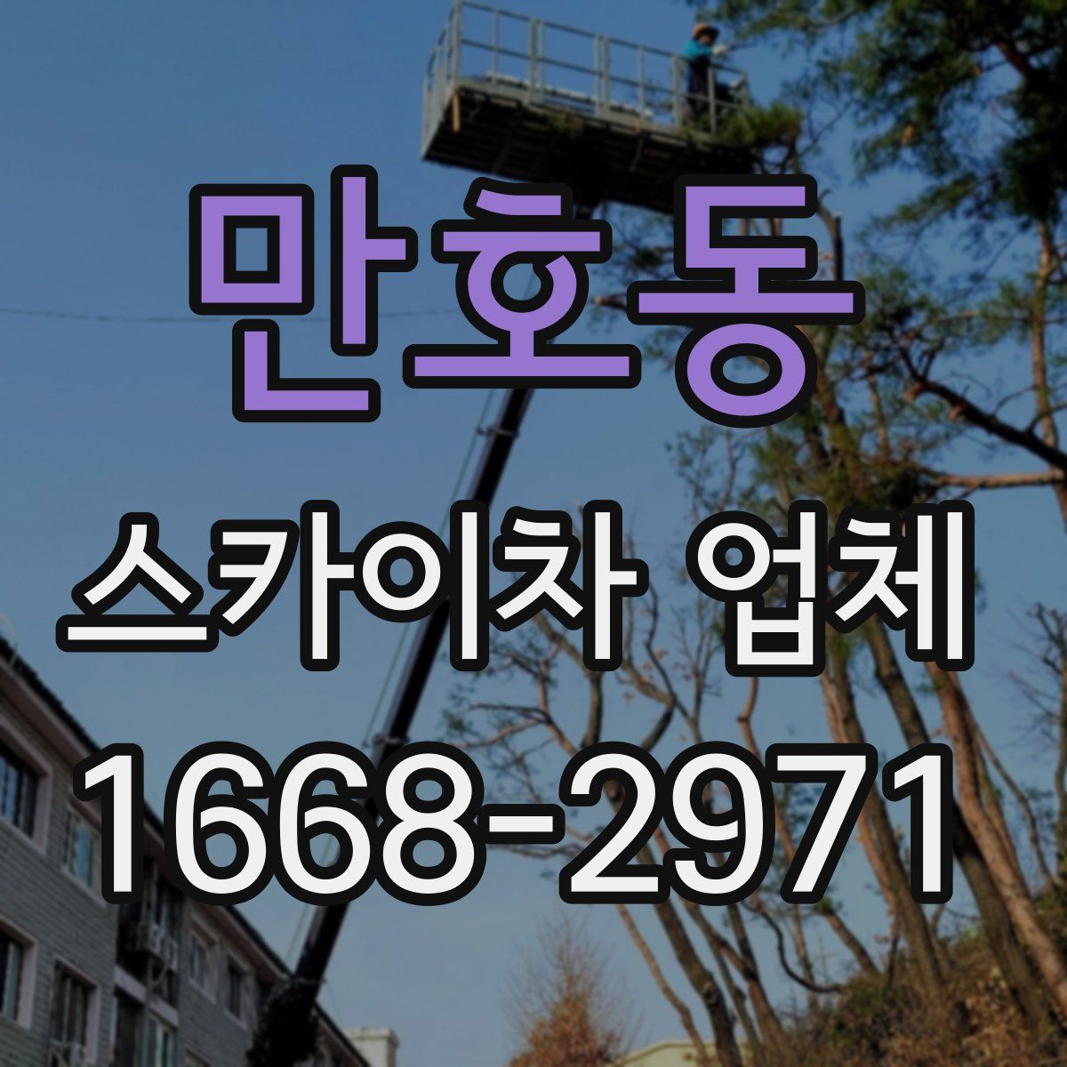 만호동 스카이차 업체