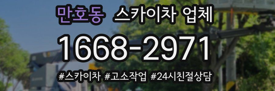 만호동 스카이차 업체