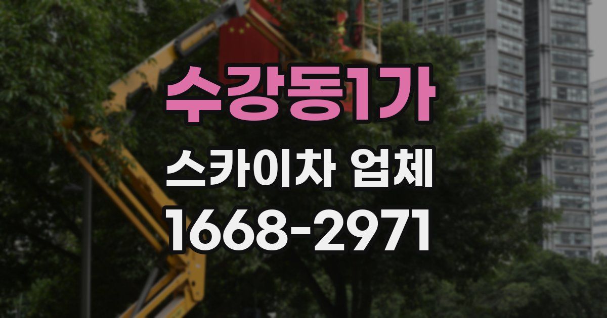 수강동1가 스카이차 업체
