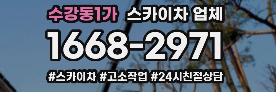 수강동1가 스카이차 업체