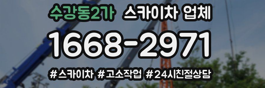 수강동2가 스카이차 업체