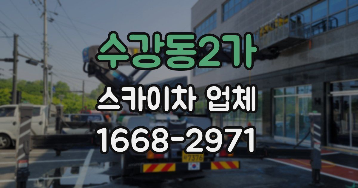 수강동2가 스카이차 업체