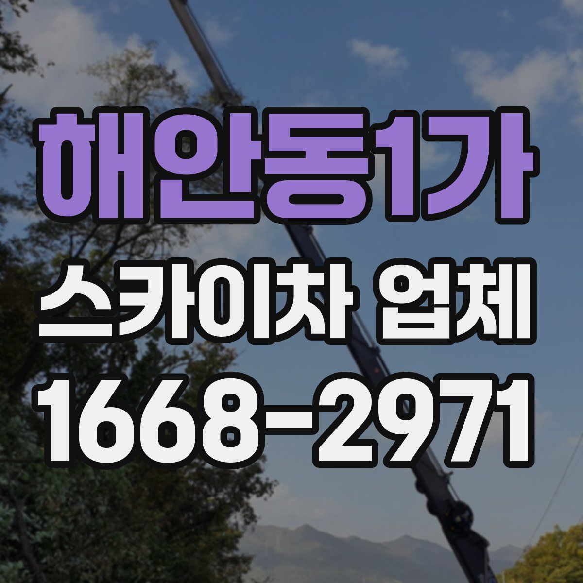 해안동1가 스카이차 업체