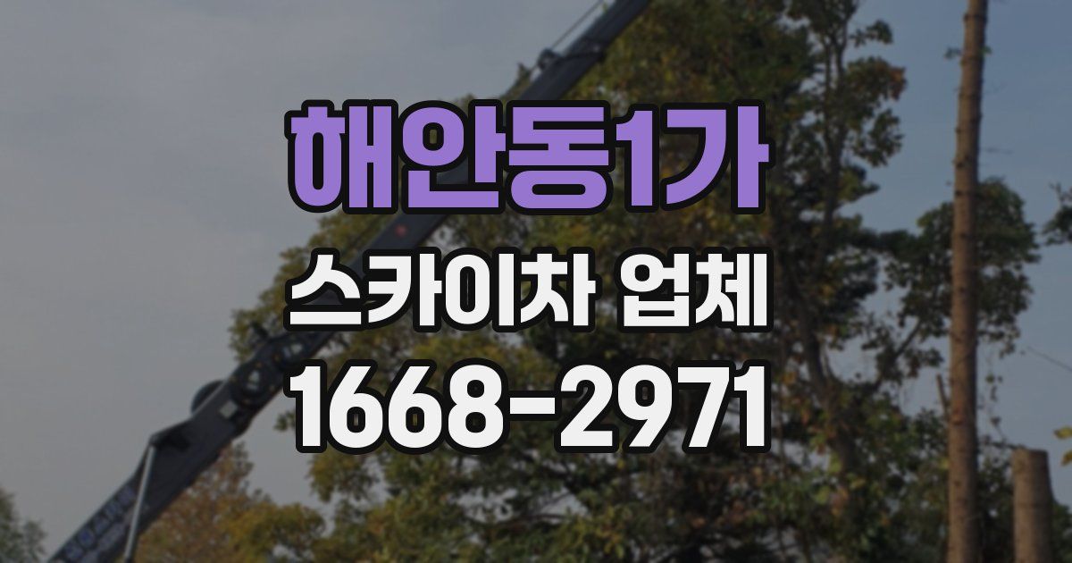 해안동1가 스카이차 업체