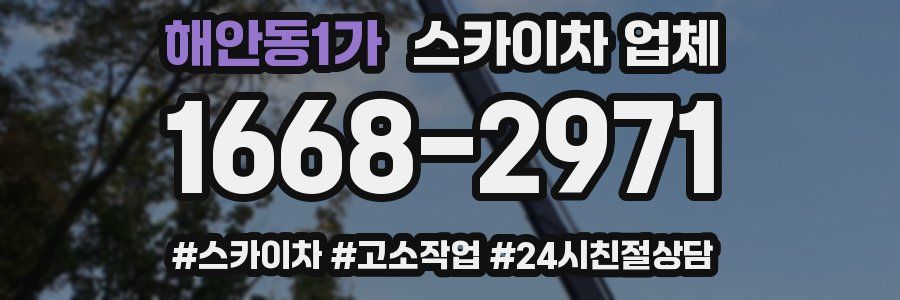 해안동1가 스카이차 업체