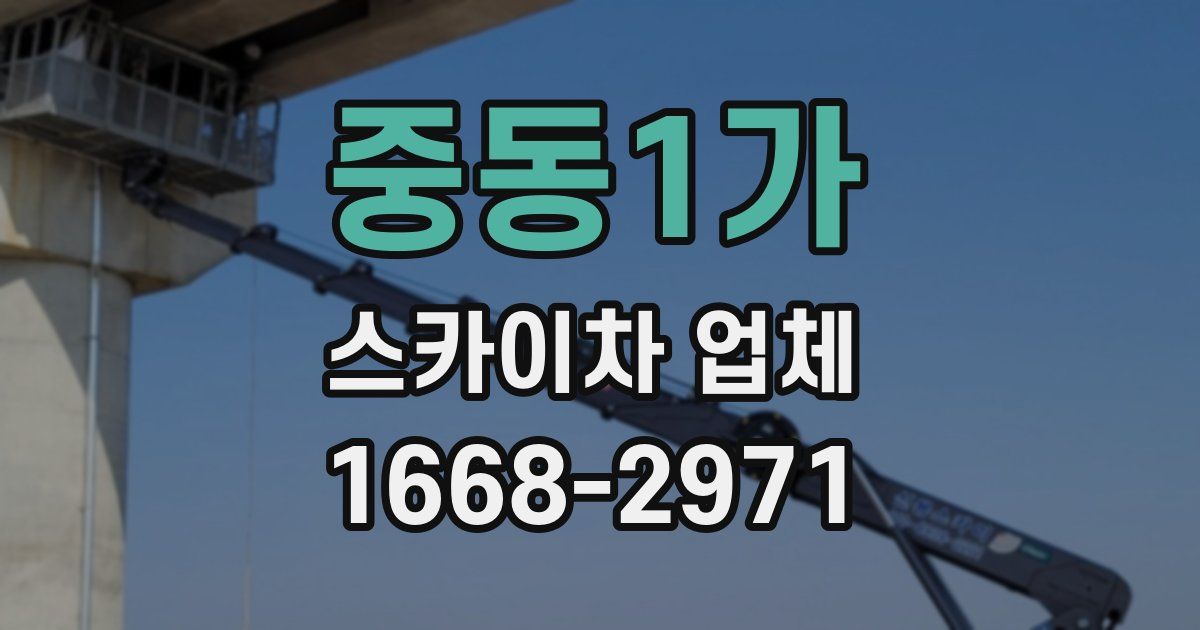 중동1가 스카이차 업체