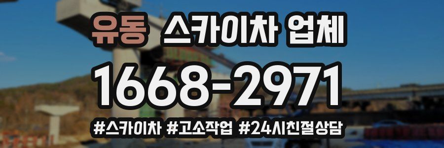 유동 스카이차 업체