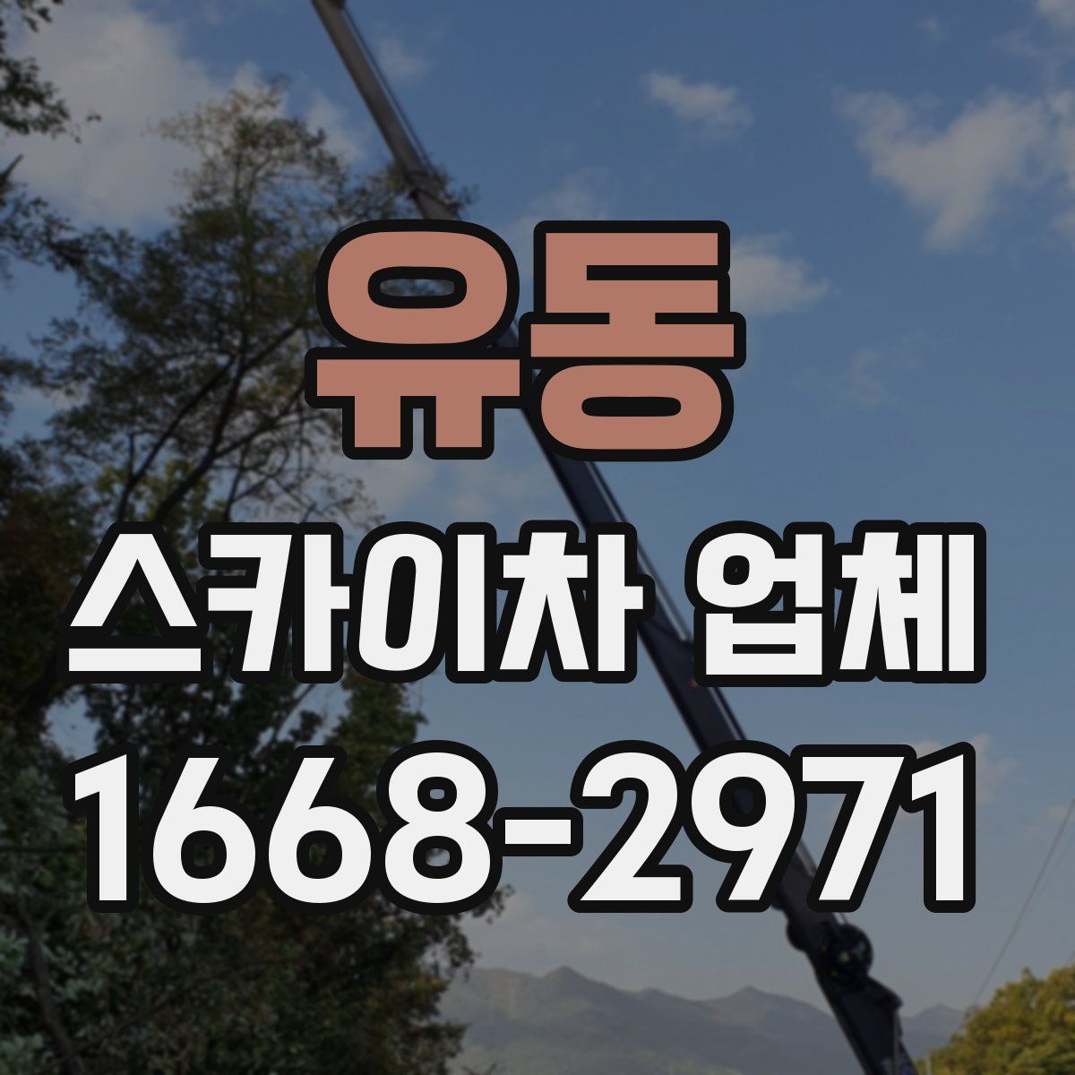 유동 스카이차 업체