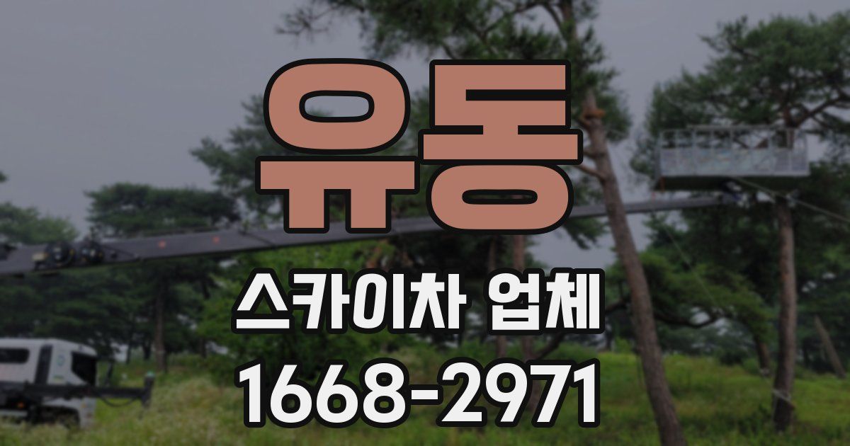 유동 스카이차 업체