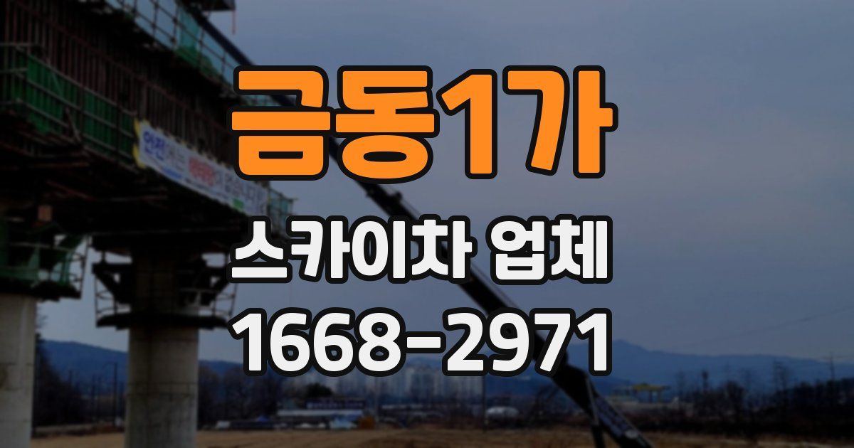 금동1가 스카이차 업체